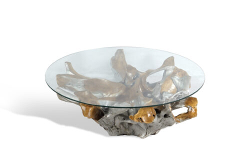 Teak Root Coffee Table