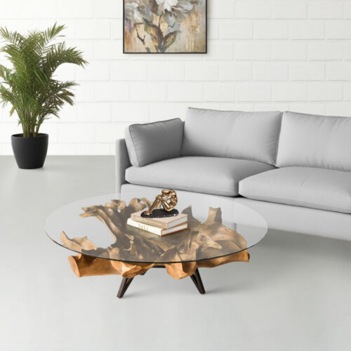 Teak Root Coffee Table